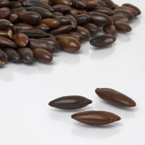 Barunüsse, 500g