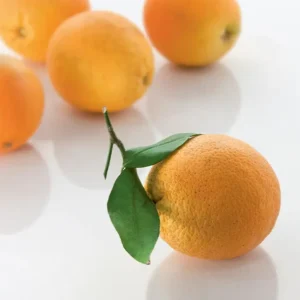 Sommerorangen frisch